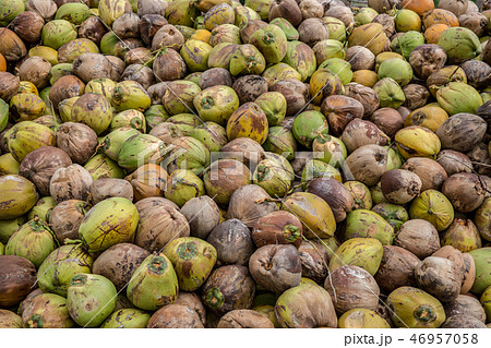 Old tropical coconuts close up background 46957058