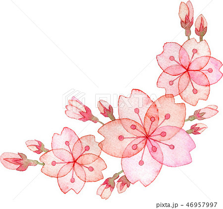 桜の飾り 46957997