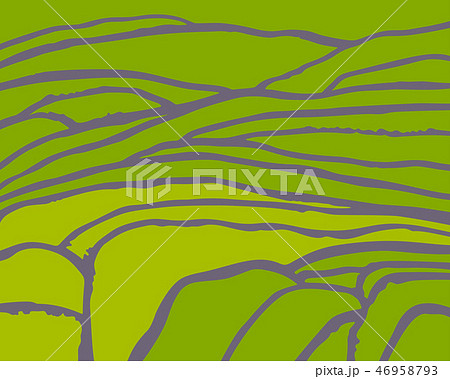 Rice or tea plantation on cascades field 46958793