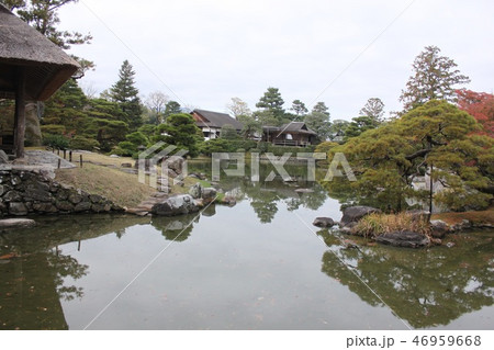 桂離宮の庭園 46959668