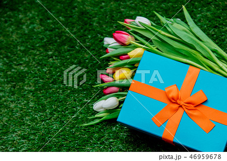 blue gift box and tulips on green grass lawn 46959678