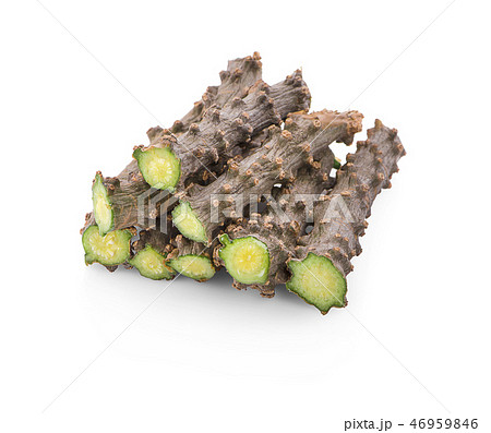 Tinospora cordifolia herb isolated on white  46959846