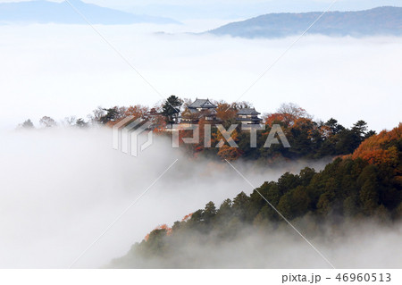 天空の城3317 天空の城3317 46960513