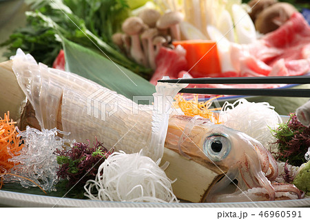 魚介 いか イカ活き造り 活き造り イカ刺し 刺身 つまみ 一品料理 活き造りイメージ 日本料理 の写真素材