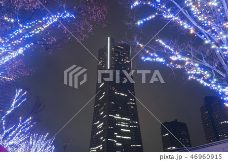 横浜 グランモール公園 イルミネーション 横浜 グランモール公園 イルミネーション 46960915