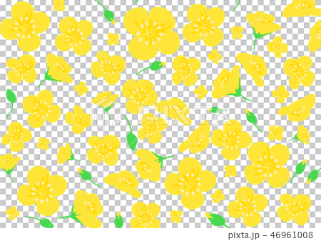 菜の花　黄色　柄　背景　パターン 46961008