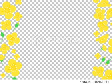 菜の花　黄色　柄　左右　メッセージカード 46961017