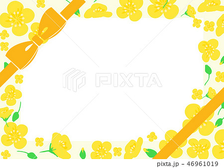 菜の花 黄色 柄 リボン オレンジ メッセージカードのイラスト素材