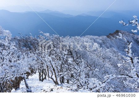 霧氷の登山道 46961030