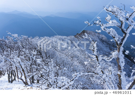 霧氷の登山道 霧氷の登山道 46961031