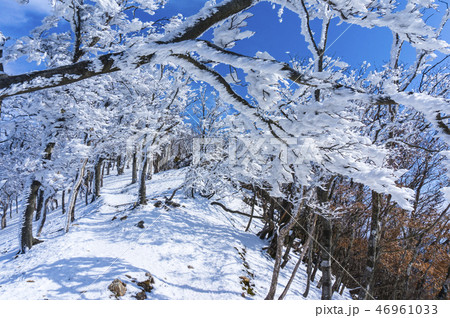 霧氷の登山道 46961033