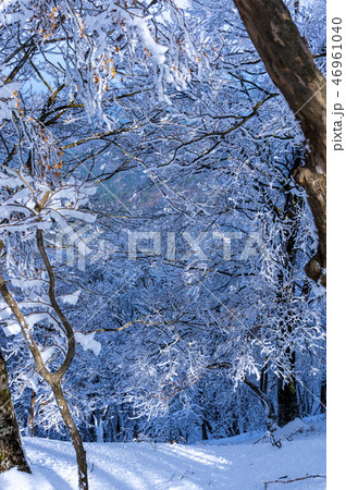 霧氷の登山道 46961040