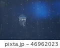 クラゲ 46962023
