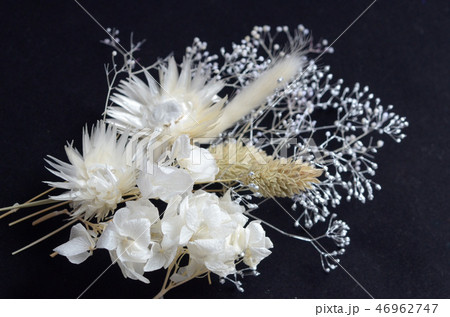 ドライフラワー　ハーバリウム　花材　白　ホワイト 46962747