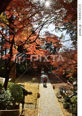 大興善寺の紅葉 46963315