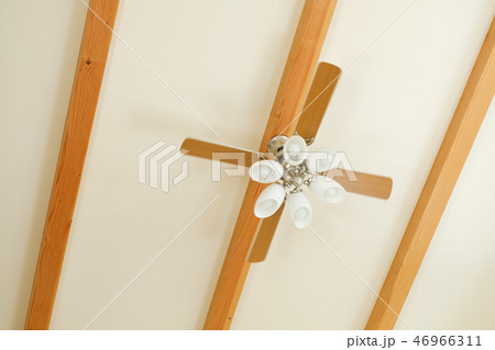 天井の扇風機 46966311