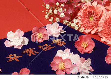 卒業証書 卒業証書 46966435