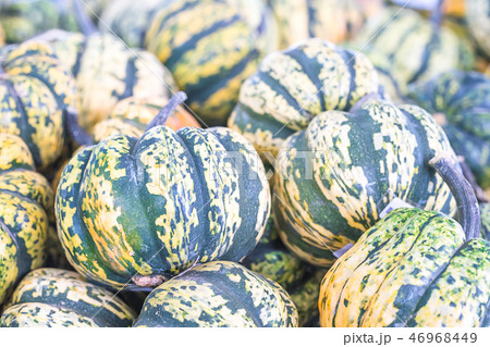 Bunch of green pumpkins for sale 46968449