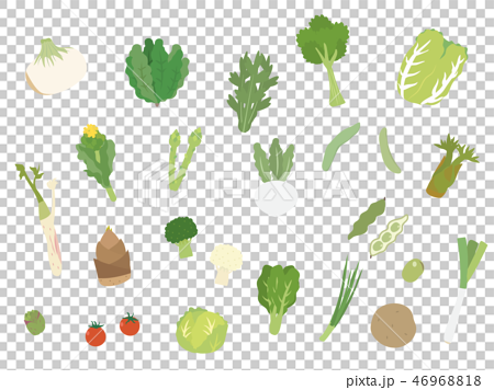 春の旬の野菜 イラスト素材 46968818