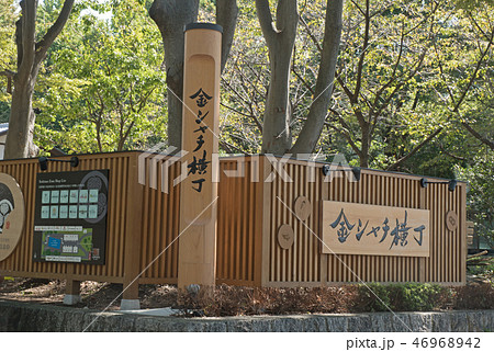 名古屋城 金シャチ横丁 義直ゾーン 名古屋城 金シャチ横丁 義直ゾーン 46968942