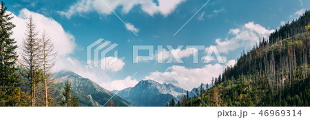 Tatra National Park, Poland. Summer Mountains And Forest Landsca 46969314