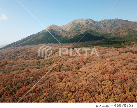 やまなみハイウェイ沿いの秋の風景 46970258