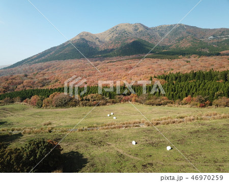 やまなみハイウェイ沿いの高原風景 46970259
