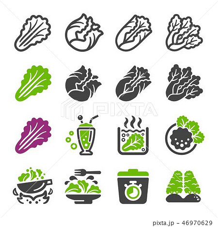 lettuce icon set 46970629