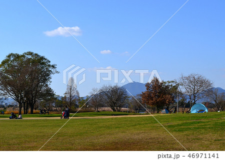 熊本市　水前寺江津湖公園　小春日和の昼下がり 46971141