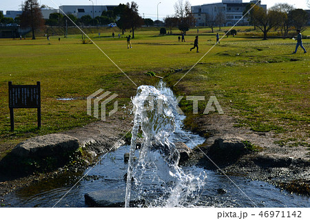 熊本市　水前寺江津湖公園　小春日和の昼下がり 46971142
