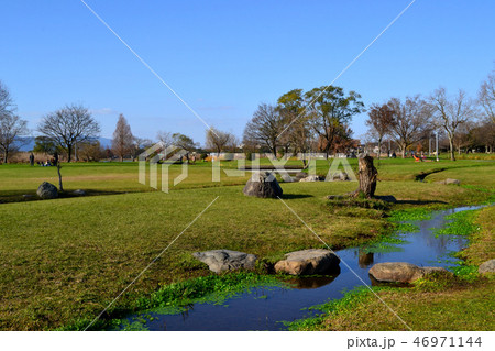 熊本市　水前寺江津湖公園　小春日和の昼下がり 46971144