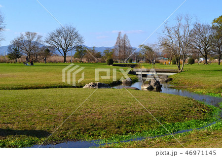 熊本市　水前寺江津湖公園　小春日和の昼下がり 46971145