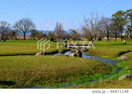 熊本市　水前寺江津湖公園　小春日和の昼下がり 46971146