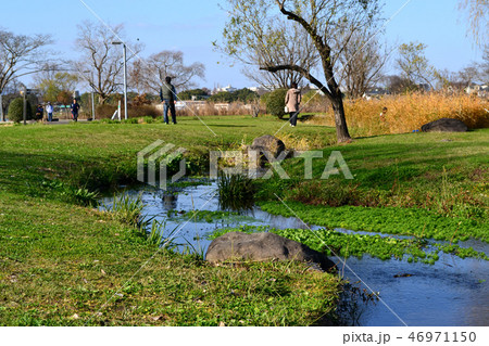 熊本市　水前寺江津湖公園　小春日和の昼下がり 46971150