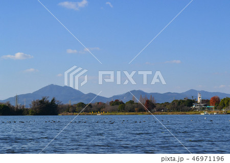 熊本市　水前寺江津湖公園　小春日和の昼下がり 46971196