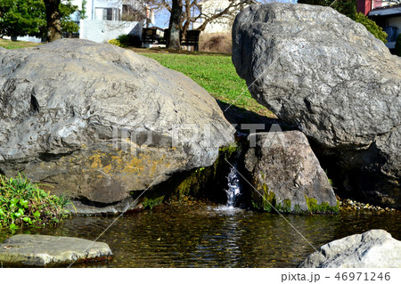 熊本市　水前寺江津湖公園　小春日和の昼下がり 46971246