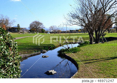 熊本市　水前寺江津湖公園　小春日和の昼下がり 46971247