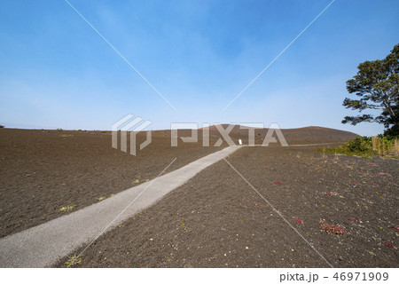 CRATER RIM TRAIL,Island of Hawaii 46971909