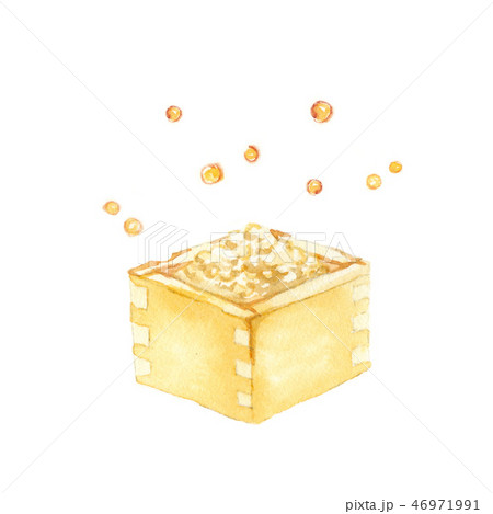 豆　水彩イラスト 46971991