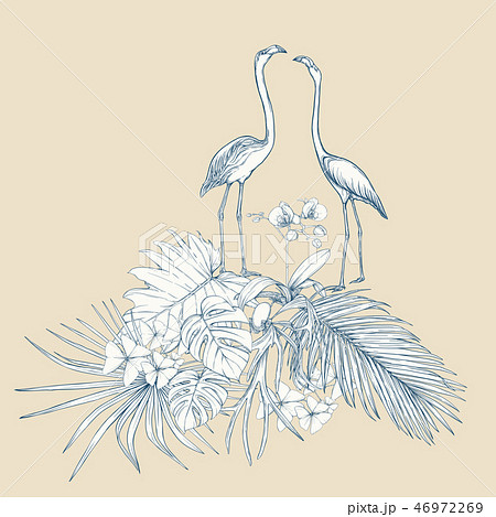 A composition of tropical plants, palm leaves 46972269