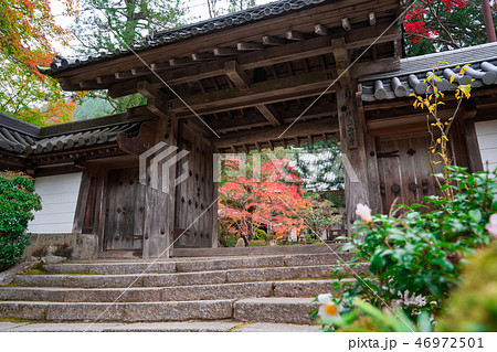 京都　西明寺の紅葉 46972501