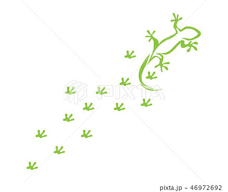 Lizard Chameleon Gecko Silhouette black 46972692