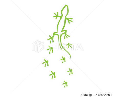 Lizard Chameleon Gecko Silhouette black 46972701