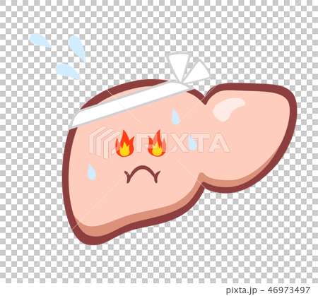 闘志を燃やす脂肪肝 46973497