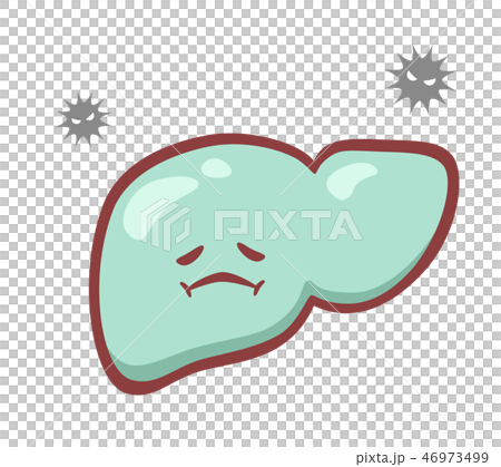 弱っている脂肪肝 46973499