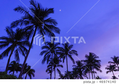 ハワイの夕景 ハワイの夕景 46974140
