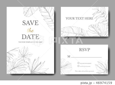 Vector Green leaf plant. Engraved ink art. Palm beach tree leaves. Wedding background card floral 46974159