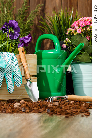 Gardening tools and flowers Gardening tools and flowers 46974185