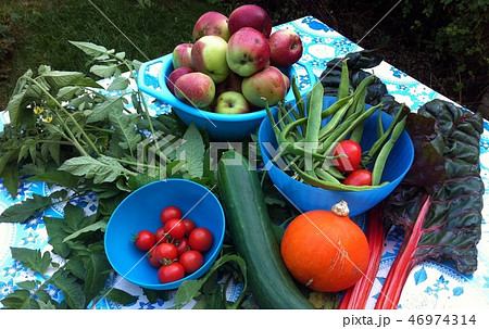 Close up of food on a plate 46974314