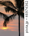 夕陽とヤシの木 46974362